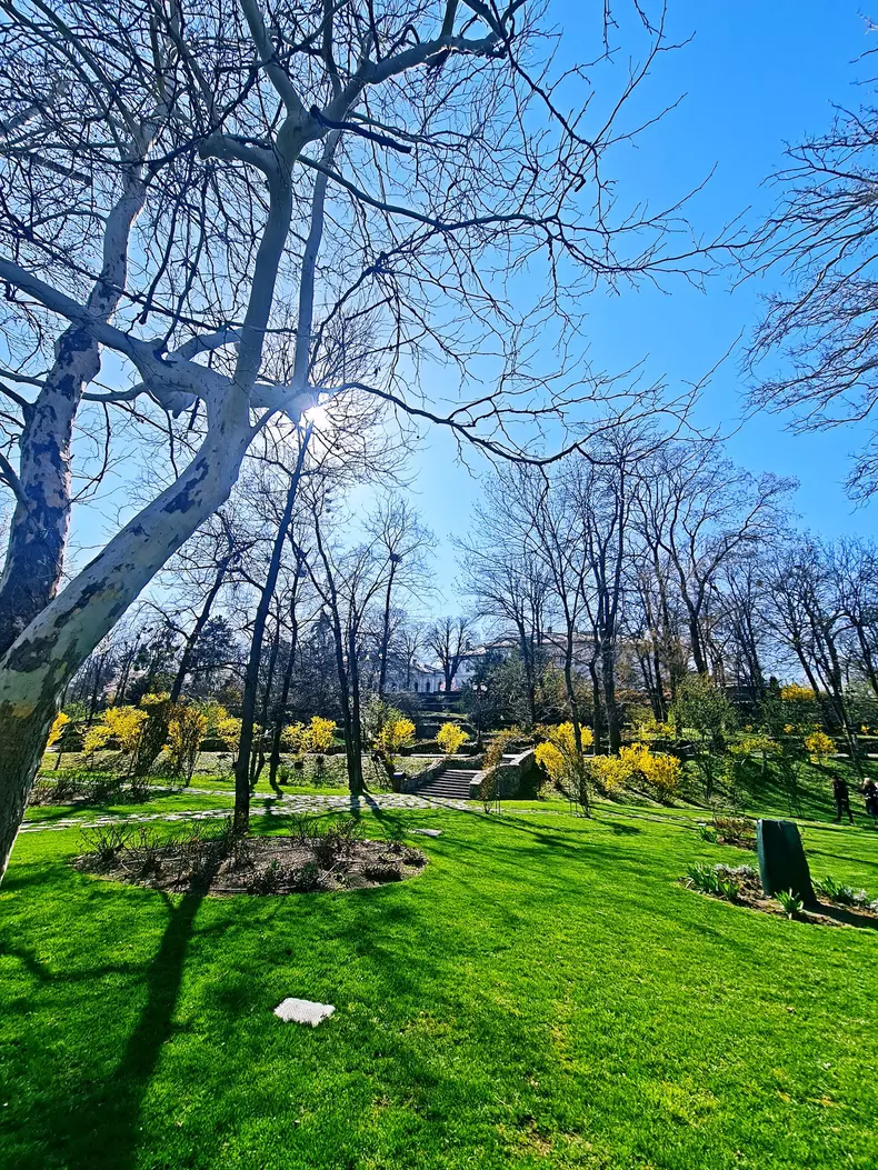 palatul cotroceni7