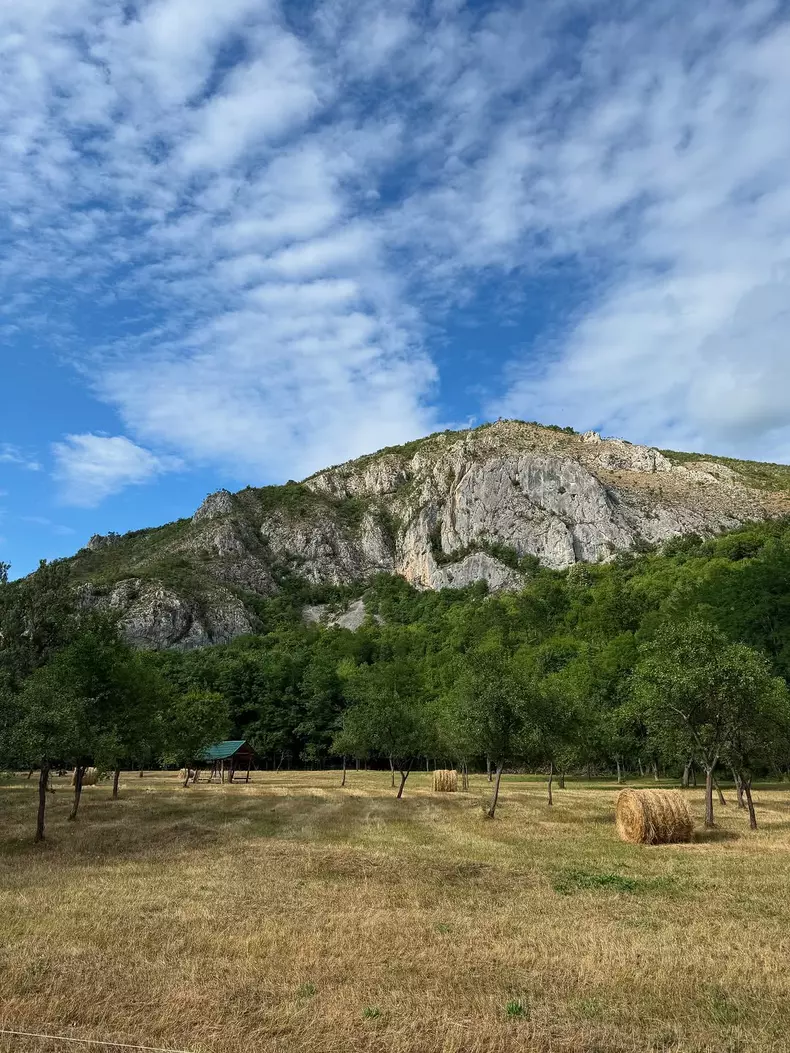 519942055_18520320109035437_2846454527241510744_n