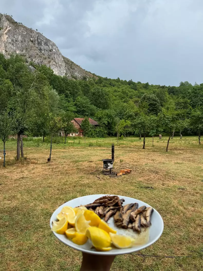 520423680_18520320076035437_238194374874166030_n