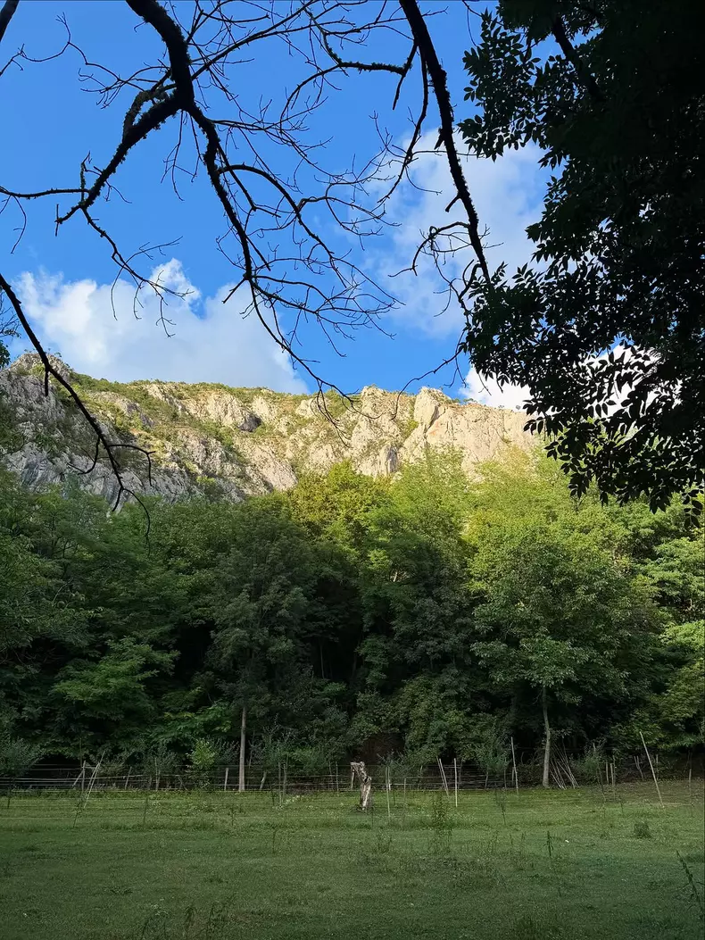 520611426_18520320007035437_1158124212242489459_n