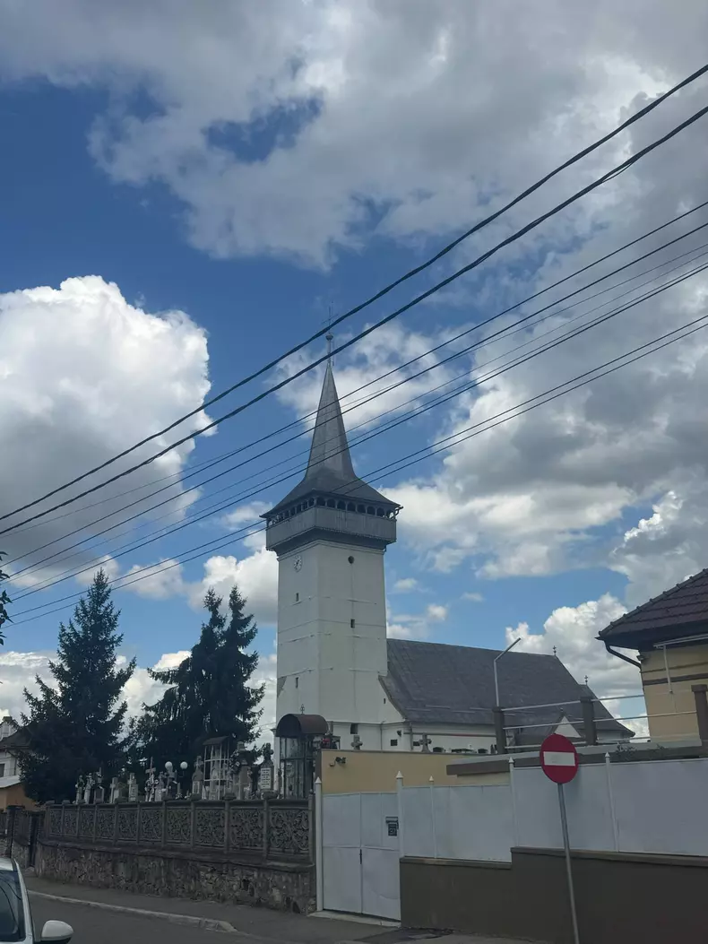 mormant mihai leu31
