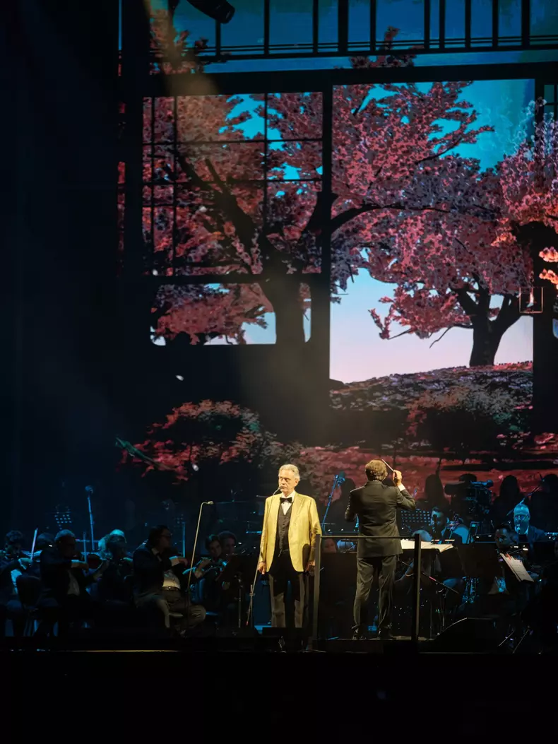 andreea bocelli unforgettable (3)