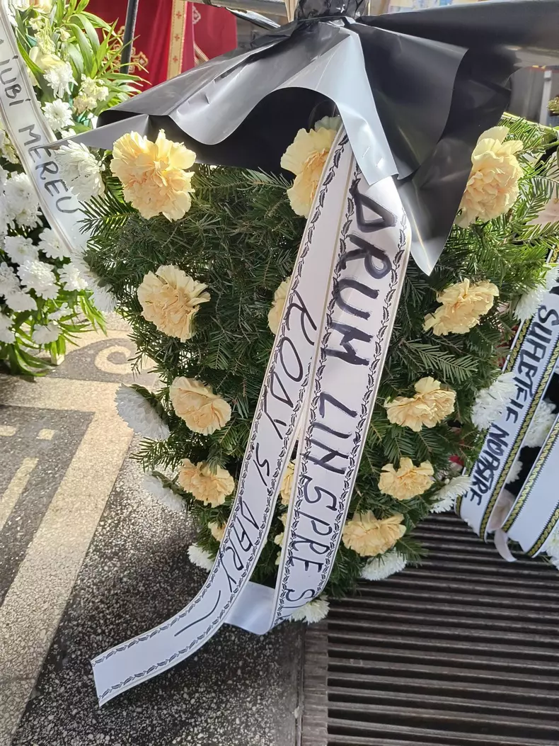 Anca Pandrea înmormântare20