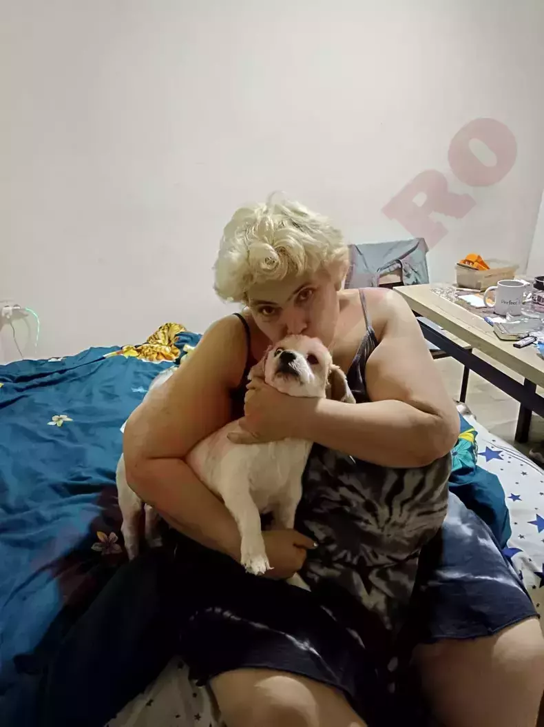 acasa-la-ioana-tufaru-5