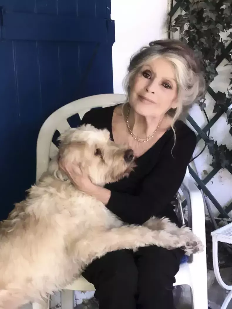 brigitte-bardot-et-son-chien-e-t-2057003