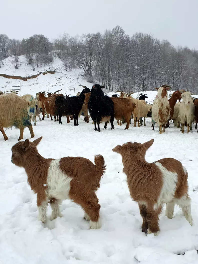 Echipa ROventura ajunge la Cerna, un loc de poveste și de povestit (9)