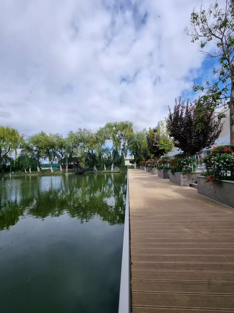 roventura-editia-de-sambata-12-noiembrie-2022-1