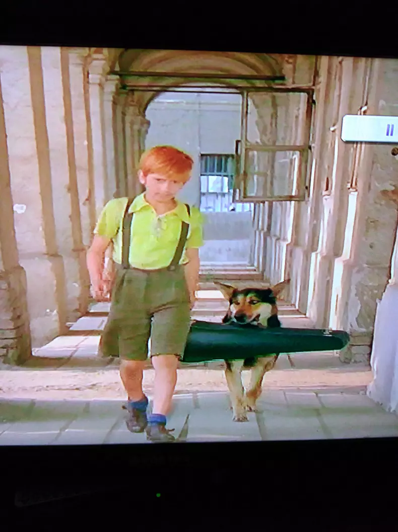 Pistruiatul-Costel-Baloiu-face-dezvaluiri-soc-Securitatea-m-a-batut-pana-n-am-mai-stiut-de-mine.-Cati-bani-a-primit-pentru-rolul-vietii-9