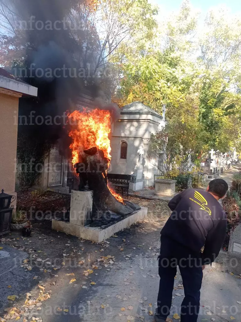 mormantul-florinei-cercel-a-ars-7