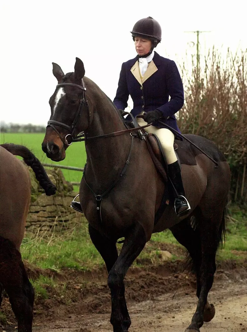 Princess Royal injured