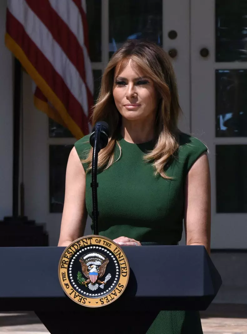 The Art Of Her Deal Presents Melania Trump As An Influential Collaborator