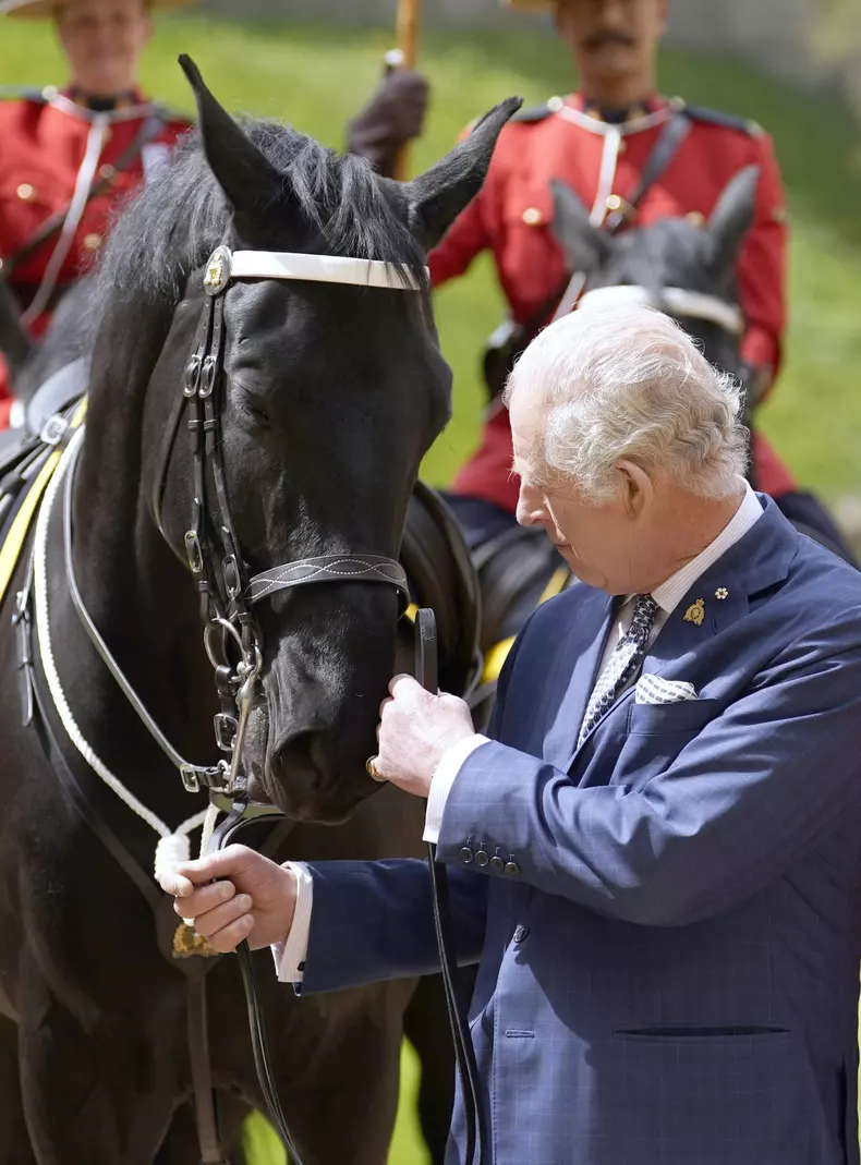 Unde vedem la TV încoronarea regelui Charles al III-lea