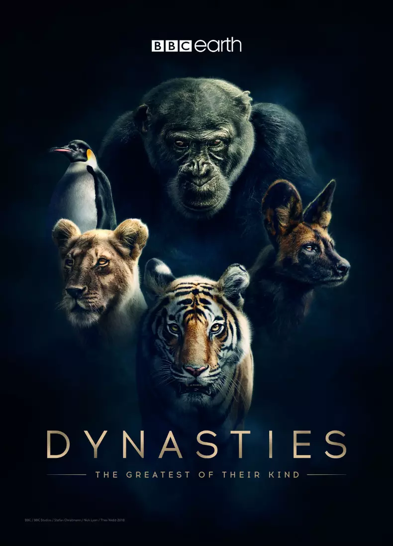 Dynasties_Hero_Iconic_A3_Portrait_297x420mm_300dpi_CMYK_AW