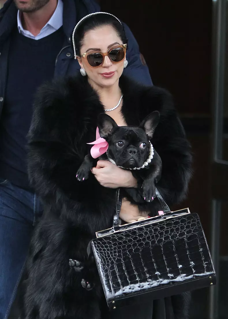 Sentința uluitoare primită de unul dintre atacatorii bărbatului care plimba câinii cântăreței Lady Gaga. Decizia e definitivă