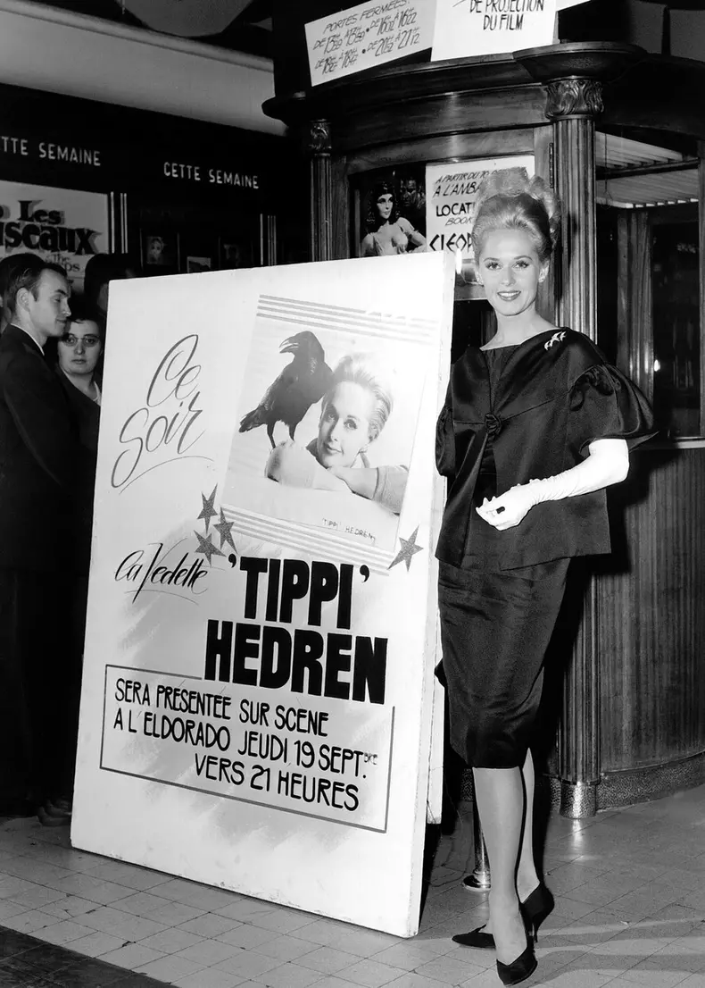 Archival Cinema and Entertainment