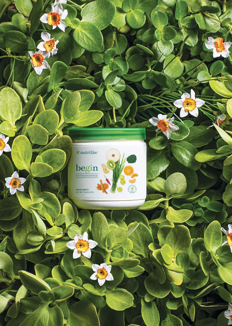 Amway Nutrilite Begin Blend