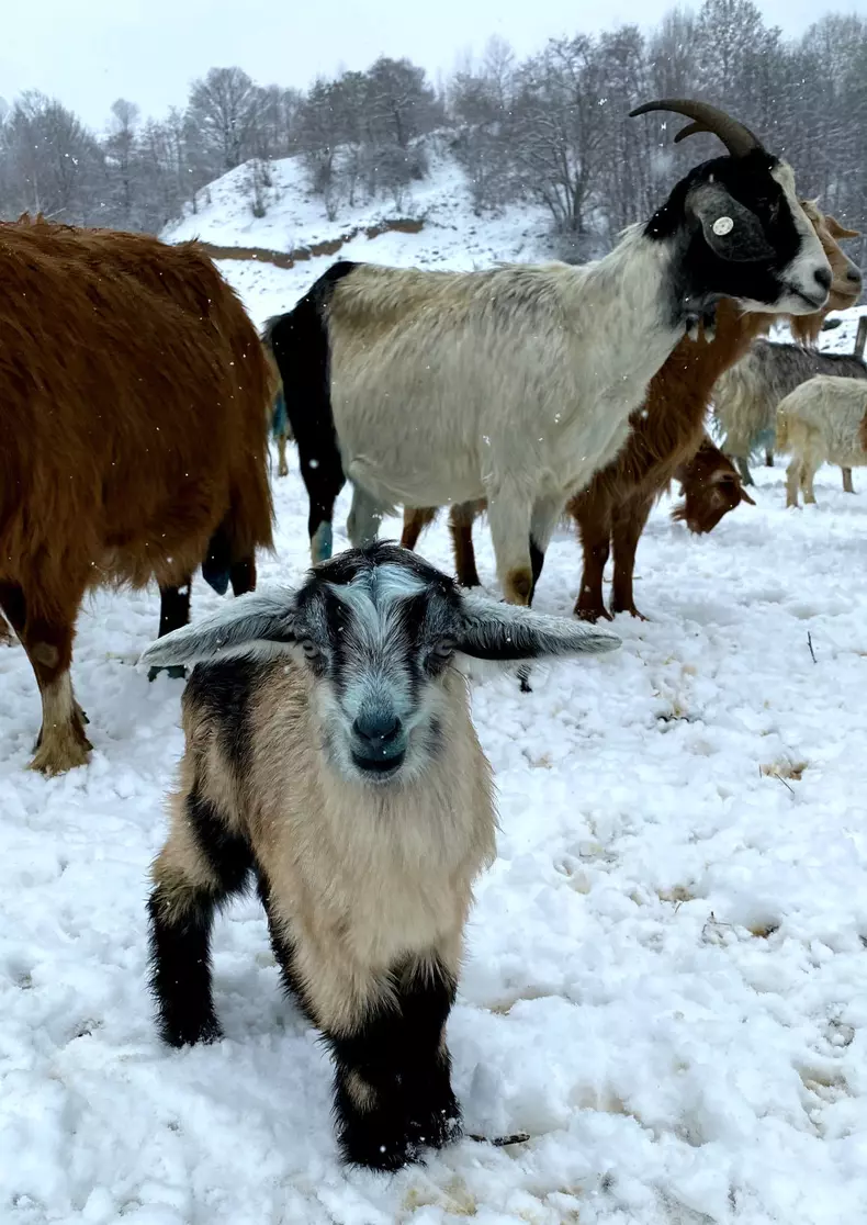 Echipa ROventura ajunge la Cerna, un loc de poveste și de povestit (2)