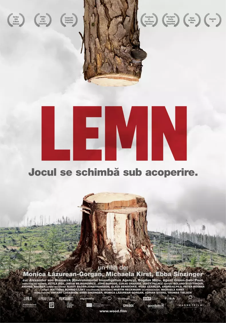 Filmul LEMN