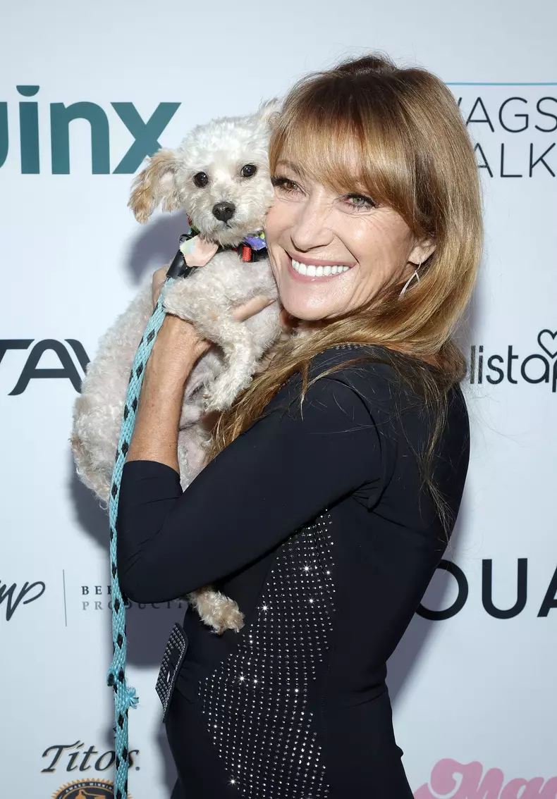 The Wags & Walks 12th Annual Benefit Gala - LA