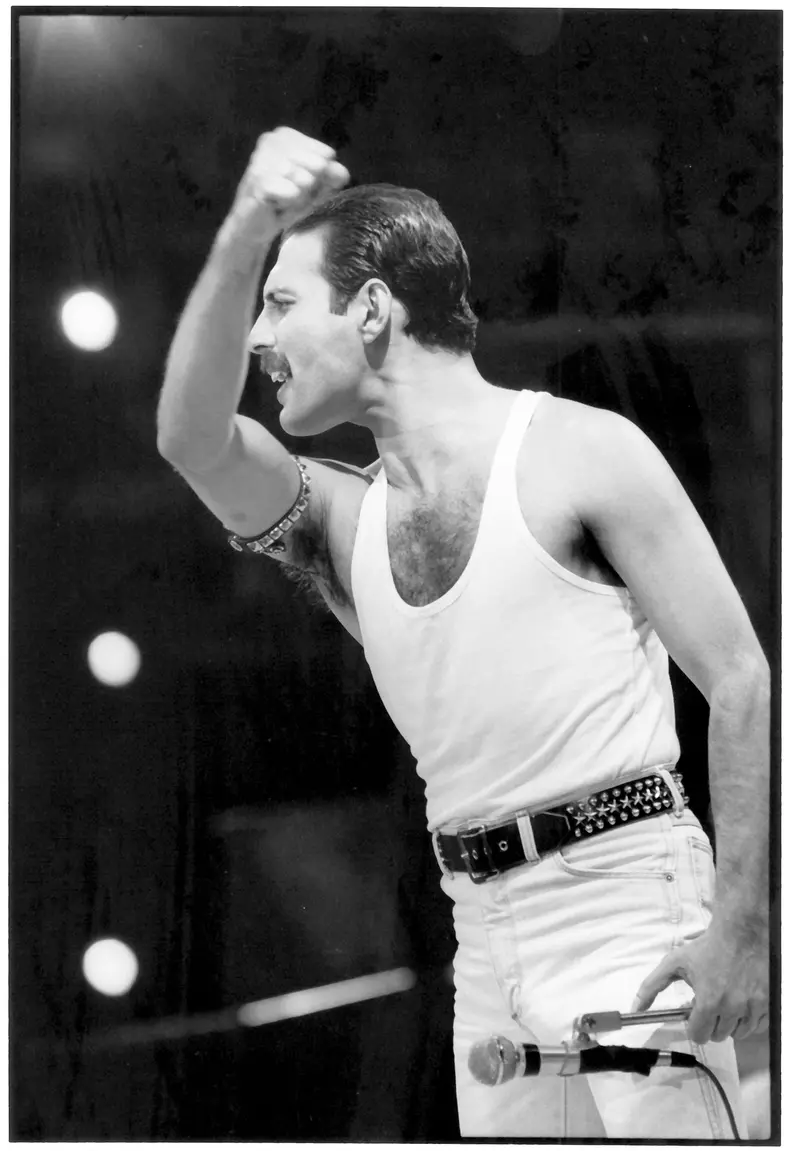 Freddie Mercury1