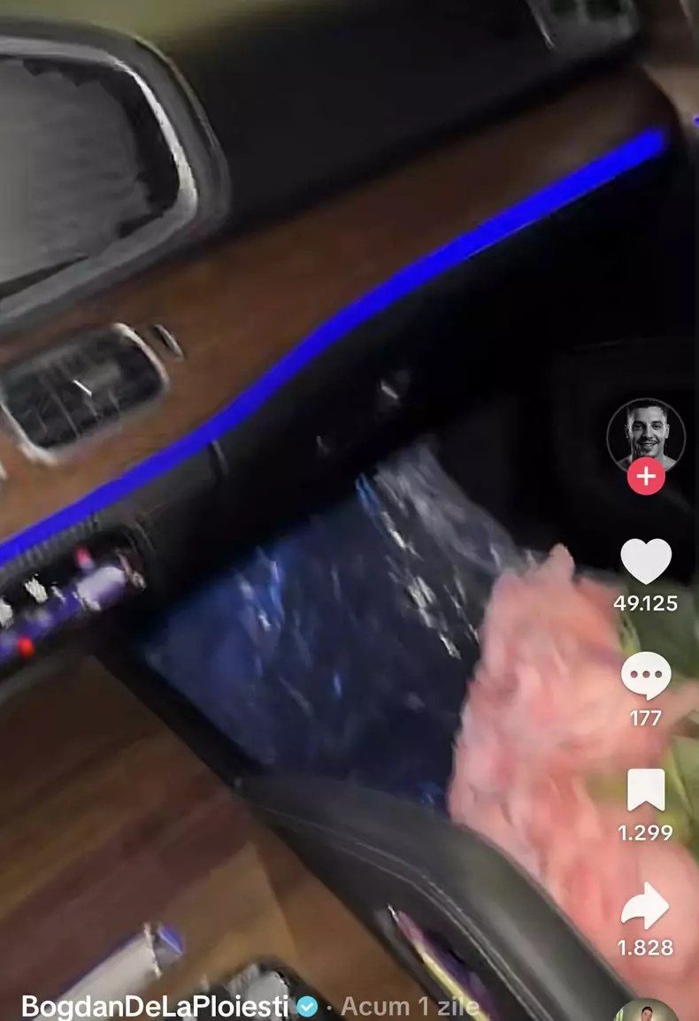 majorat fiica primar arges9