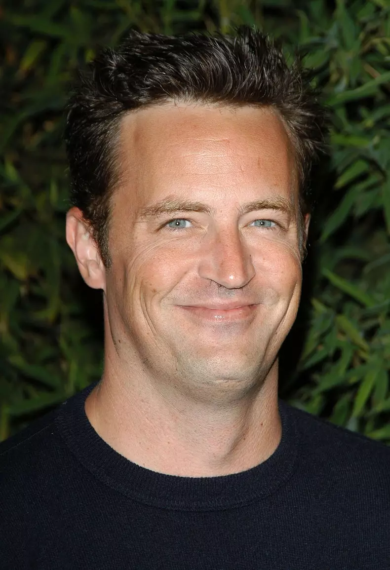 V Life's Emmy Nominee Photo Portfolio Party