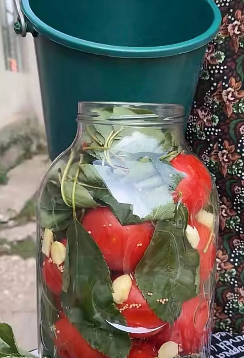 bunica gherghina pregateste rosii murate6