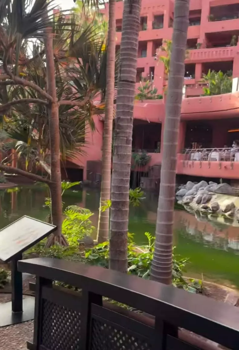 hotel Tenerife Mirela Vaida