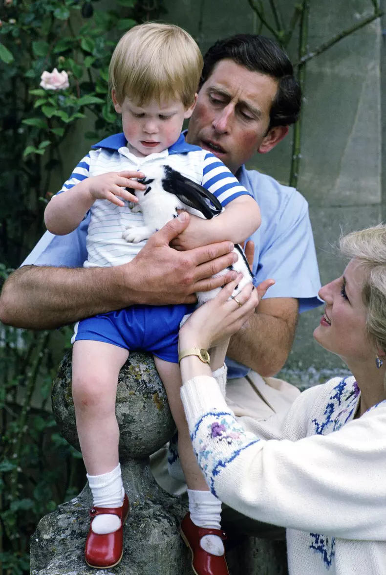 7. Prințul Harry nu este fiul Prințului Charles