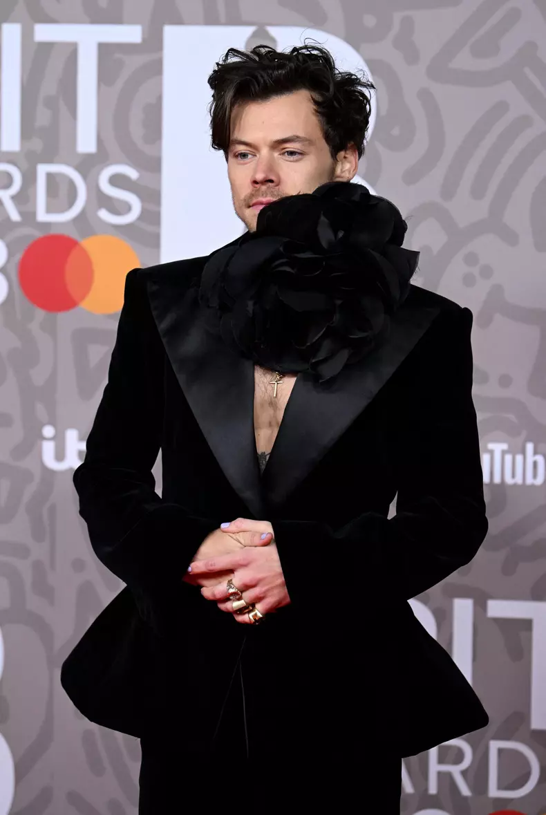 Harry Styles, gest șocant în timpul unui concert