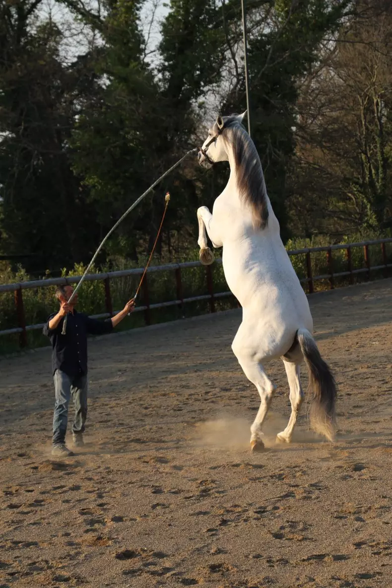 Anca Lungu a fost acasă la Andrea Bocelli (11)