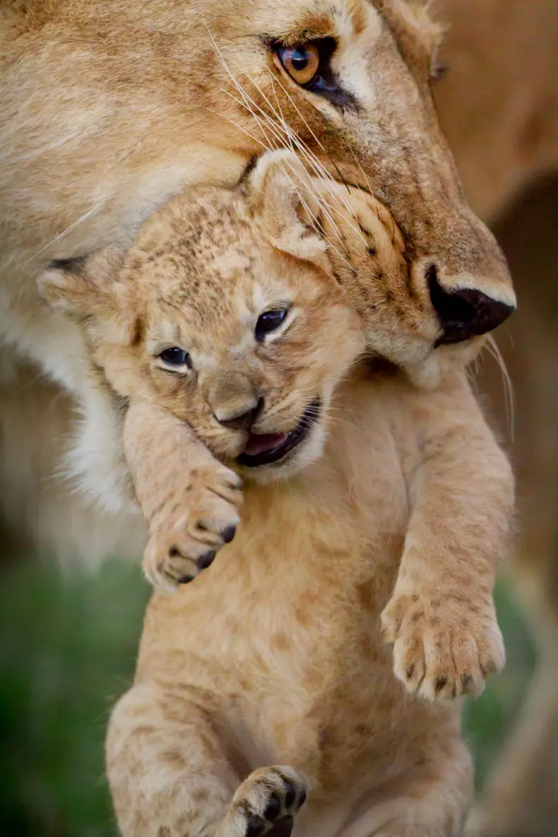 Dynasties_EP_03_001_Press_Pack_Under embargo until 00_01 GMT 20th October