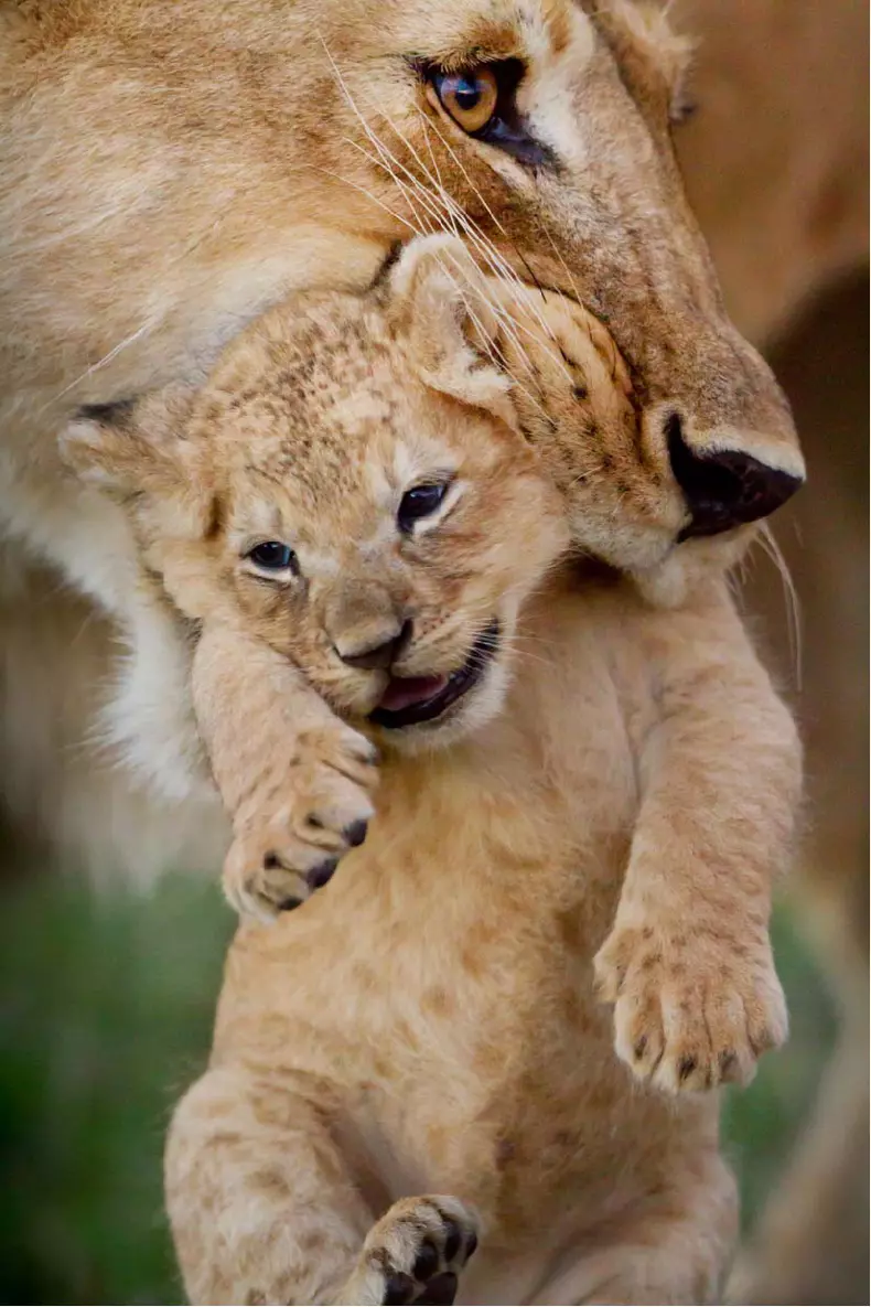 Dynasties_EP_03_001_Press_Pack_Under embargo until 00_01 GMT 20th October