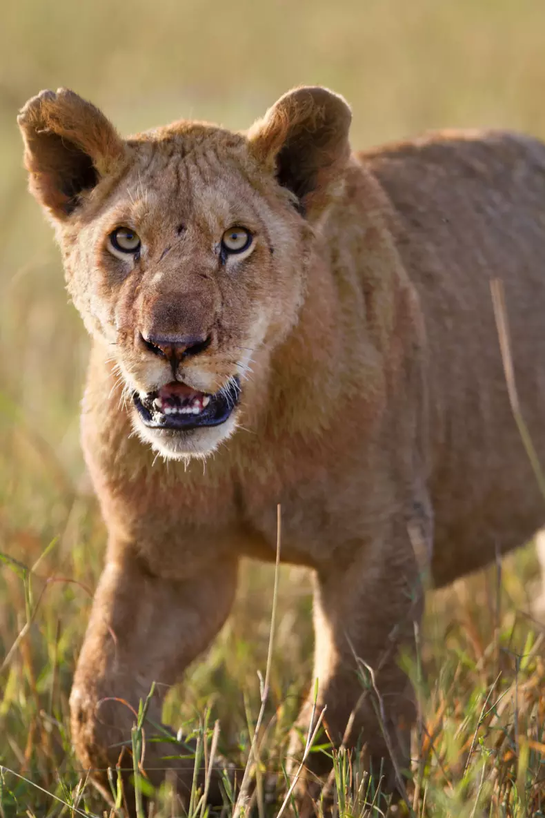 Dynasties_EP_03_002_Press_Pack