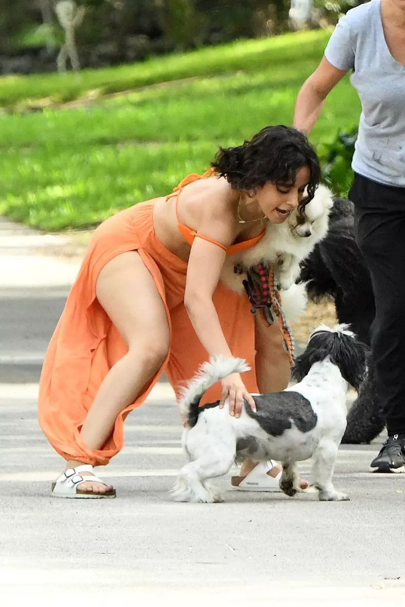 *PREMIUM-EXCLUSIVE* Shawn Mendes and Camila Cabello struggle with their Dogs on a walk