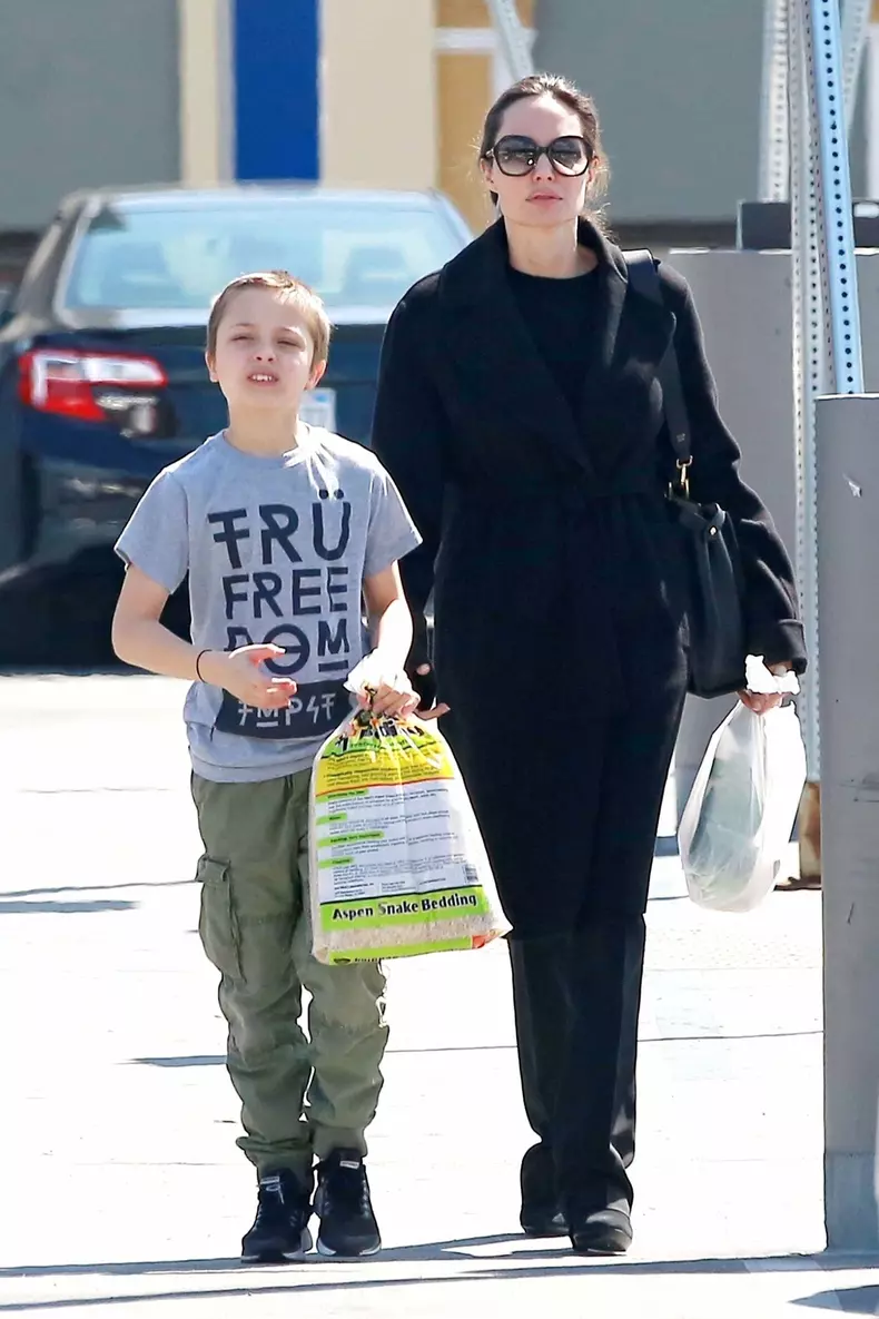 *EXCLUSIVE* Angelina Jolie is seen taking her son Knox to Pet Smart