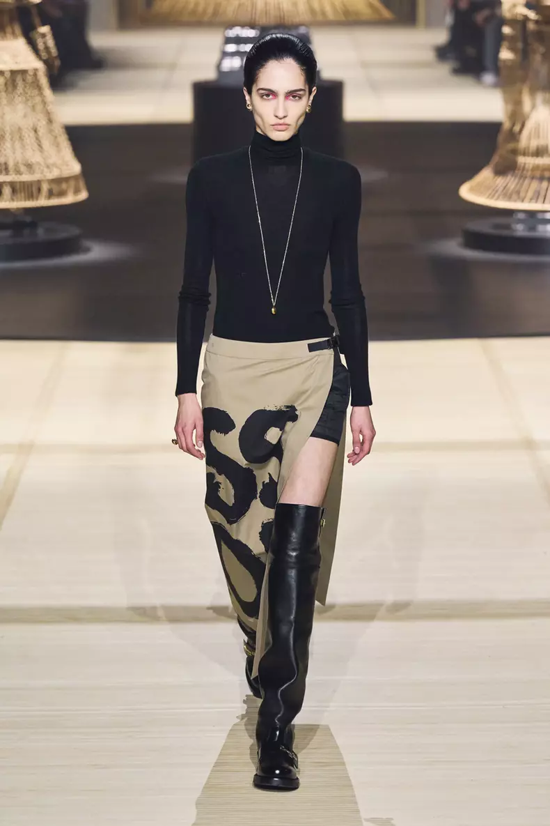 Motanul încălțat (Christian Dior)