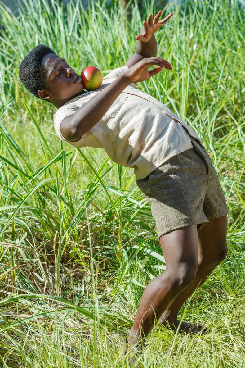 PELE-02472