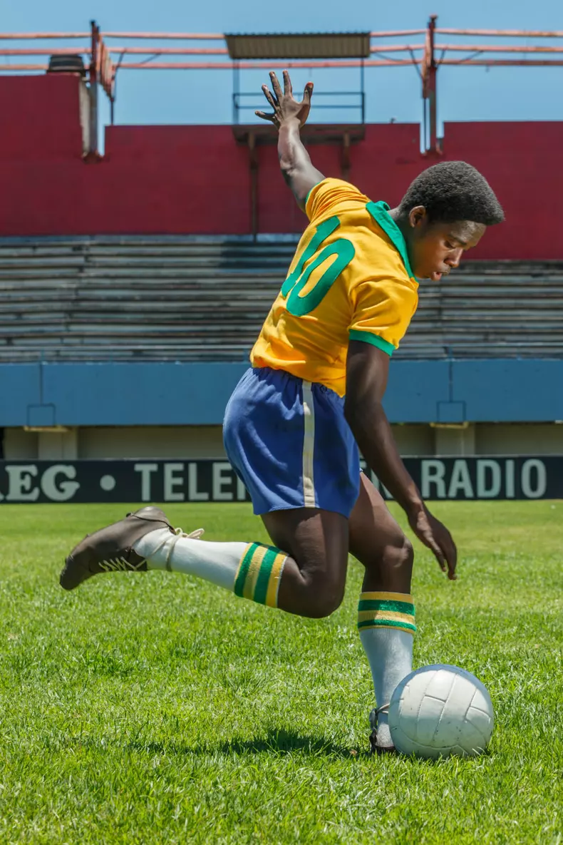 PELE-06323