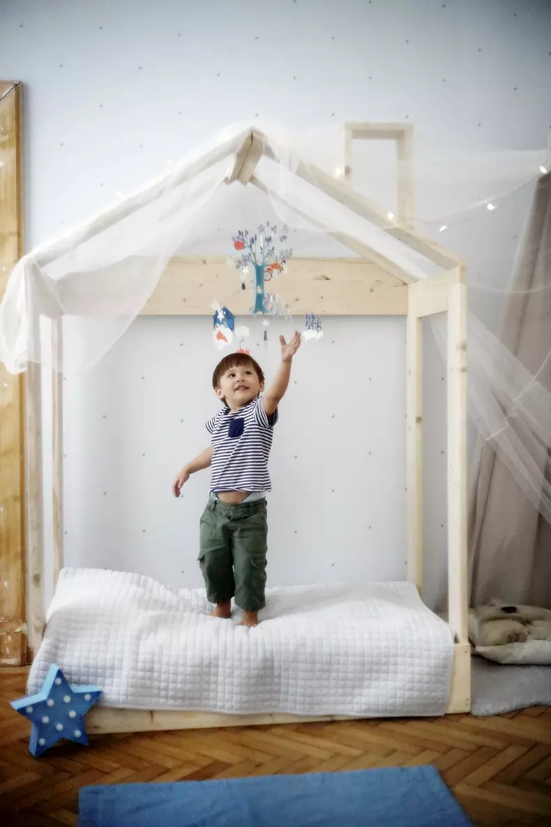 Vlad, fiul Danei Rogoz