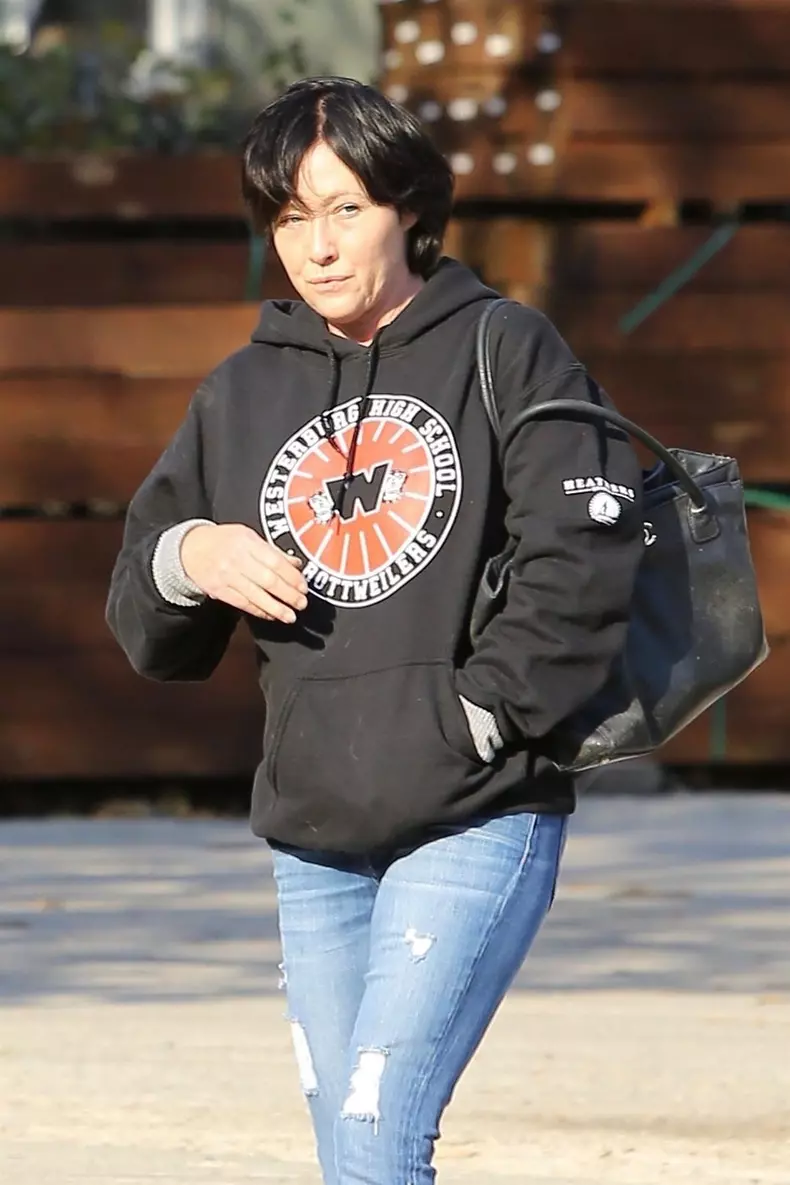 Shannen Doherty, Brenda, după lupta cu cancerul