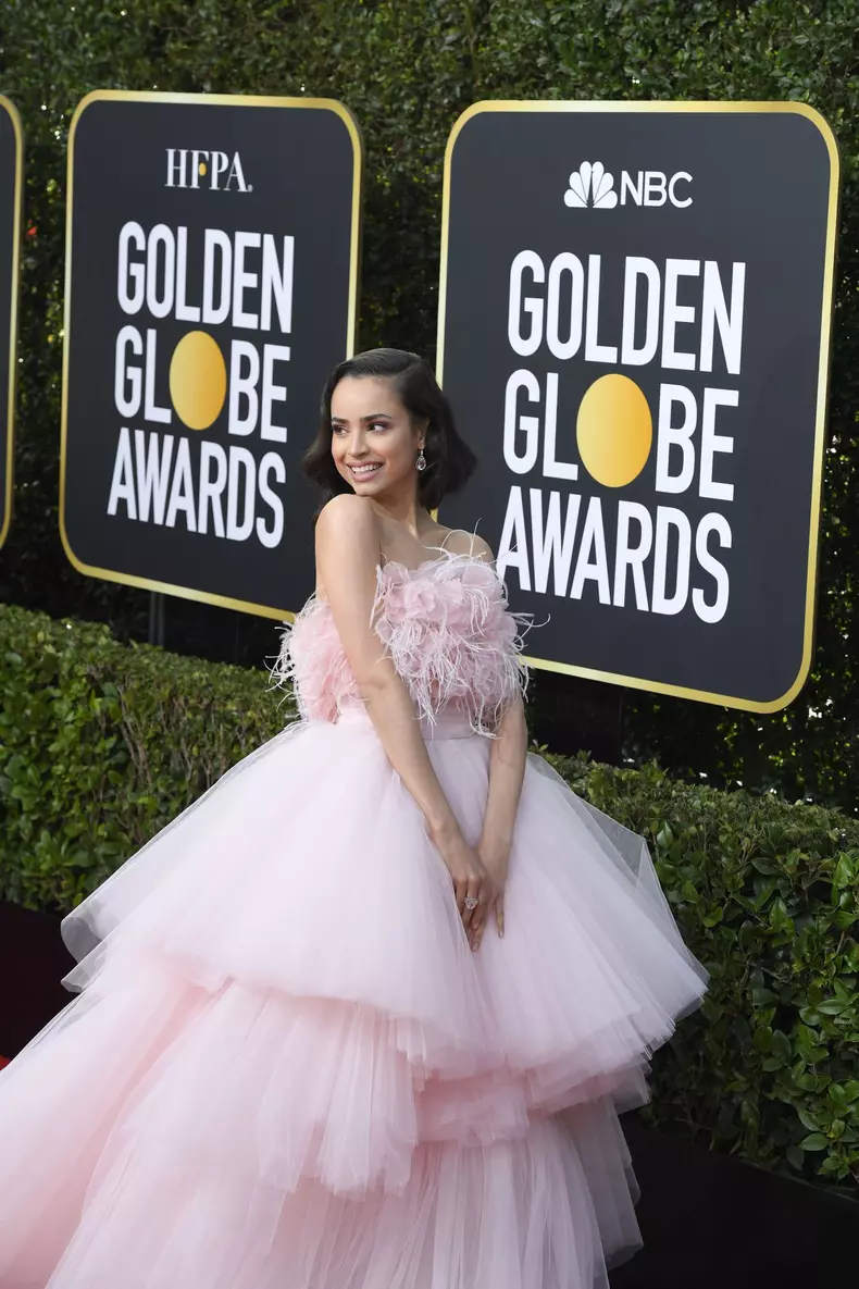 Golden Globe Awards 2020: RED CARPET