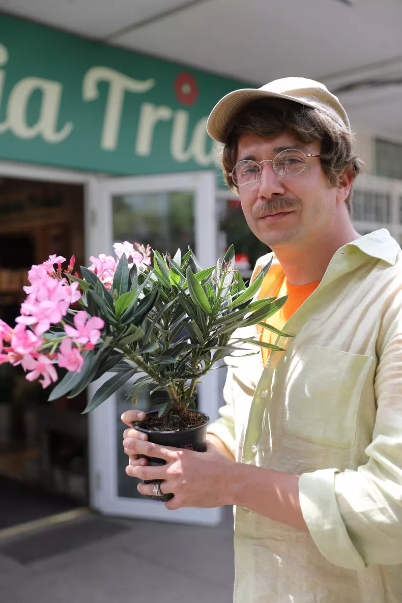 Mircea Saplacan Sef sub acoperire