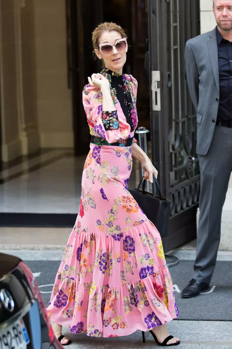 Celine Dion leaving her hotel - Paris