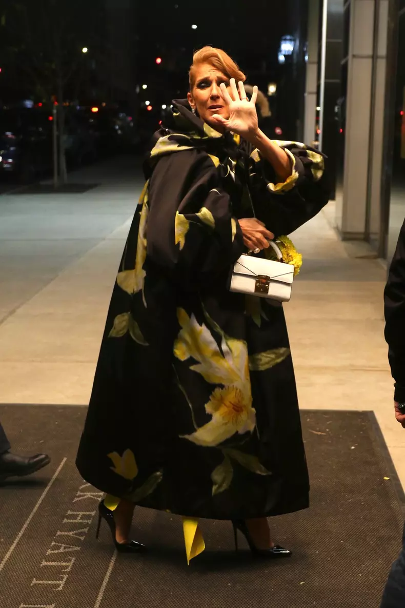 EXCLUSIVE: Celine Dion Shows Off Her Ring Finger As She Returns To Her Hotel In NYC