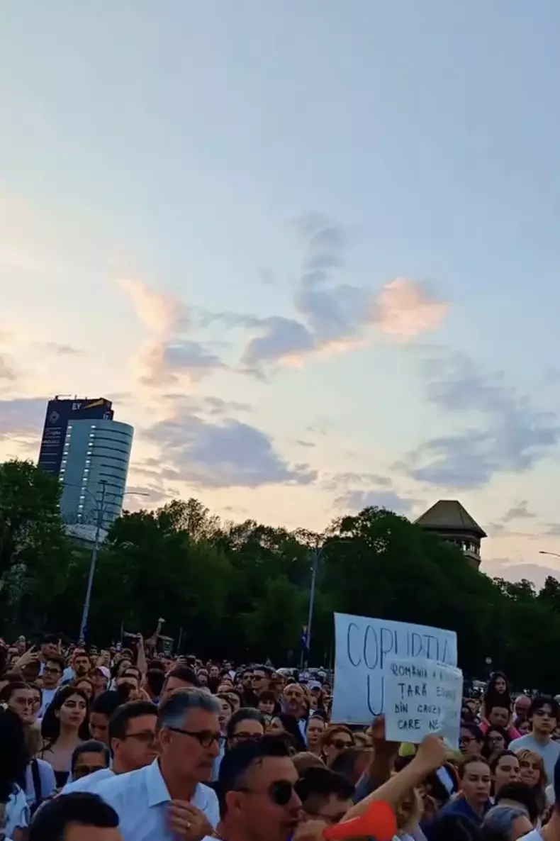 protest-vlad-pascu