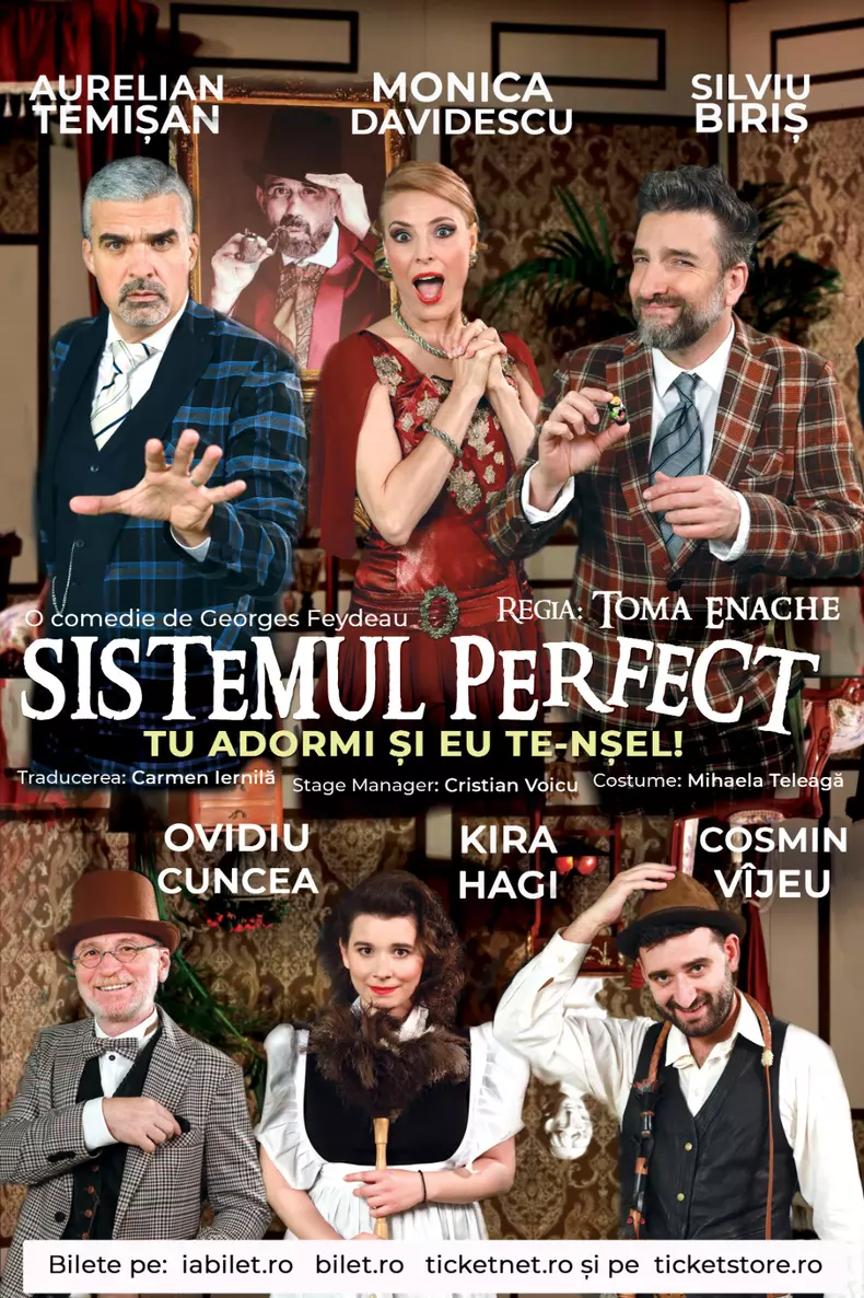 afis Sistemul perfect - Copy