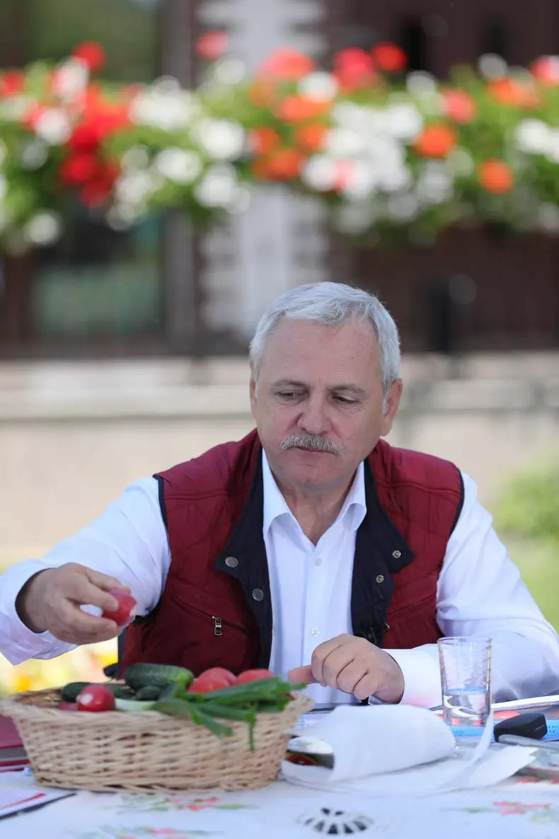dragnea-6