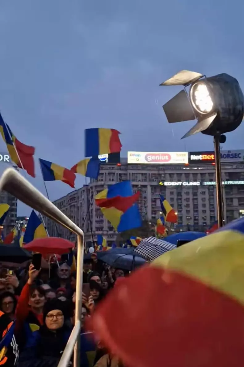 silvia dumitrescu protest12