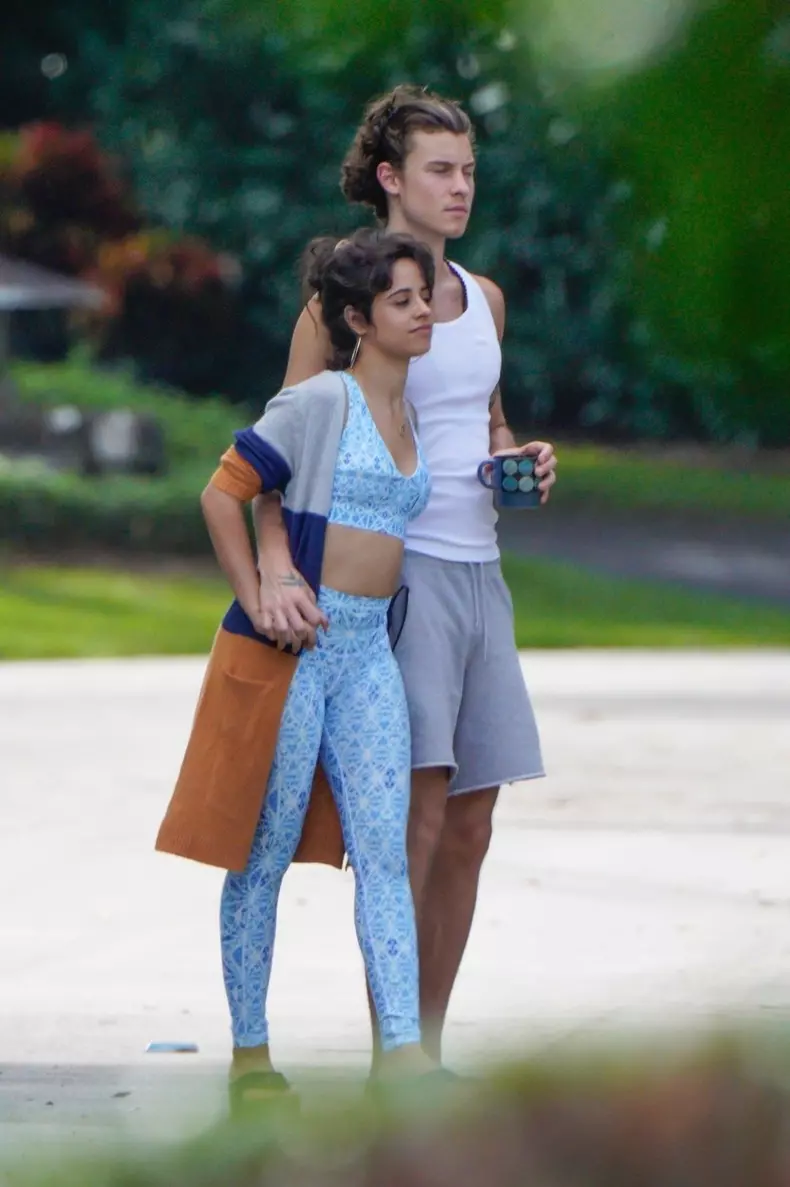 *EXCLUSIVE* Goodlooking couple Shawn Mendes and Camila Cabello enjoy a walk together